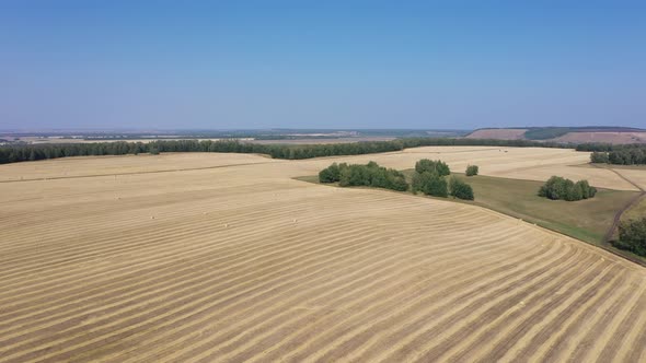 The Road Leading to the Village Surrounded By Postharvest Wheat and Green Forests