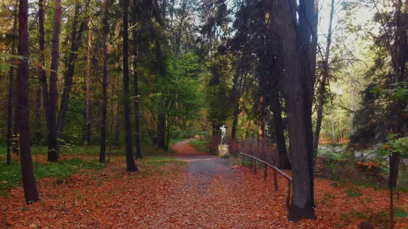 The Beauty of an Autumn Park in St