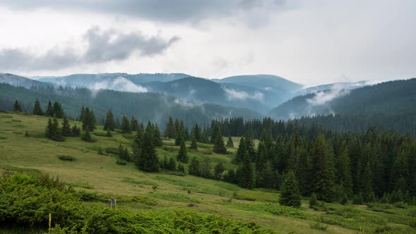 Moving morning mists over the tree-covered mountain slopes