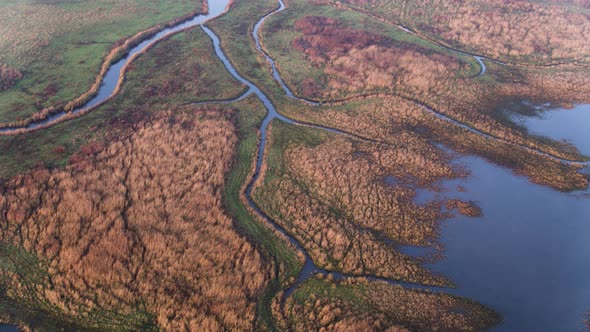 Scenic aerial view of River Delta, Marshes, swamp land, flooded farmlands. The Netherlands.