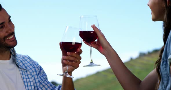 Couple toasting wine glasses in the farm