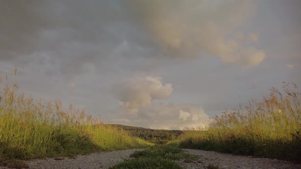 Slow Motion shot of couple running through fields