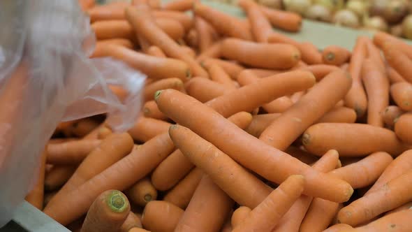 carrots by weight at the grocery store and a girl with a plastic bag