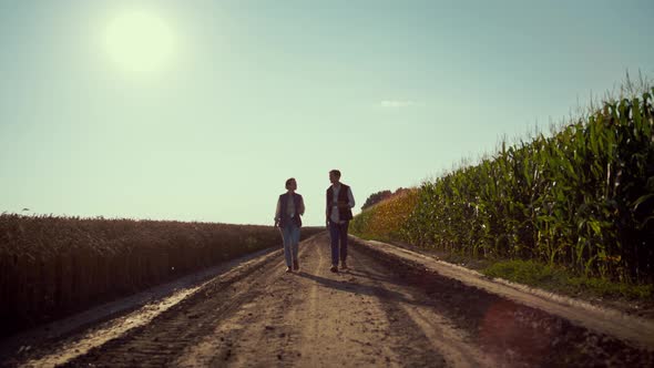 Two Farmers Inspecting Crop Field at Sunlights