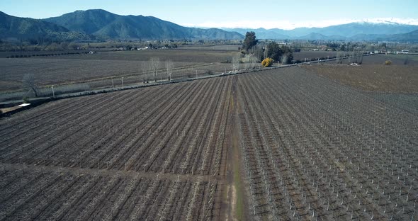 Drone footage in 4K, 60fps shot in Chile, flying over the crops
