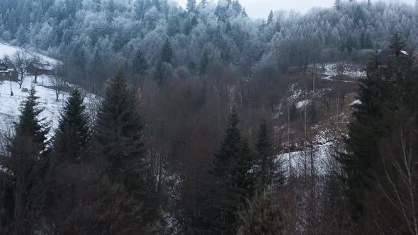 Flying Over a Fabulous Winter Forest the Trees Are Covered with Frost the Fog Swirls Over the