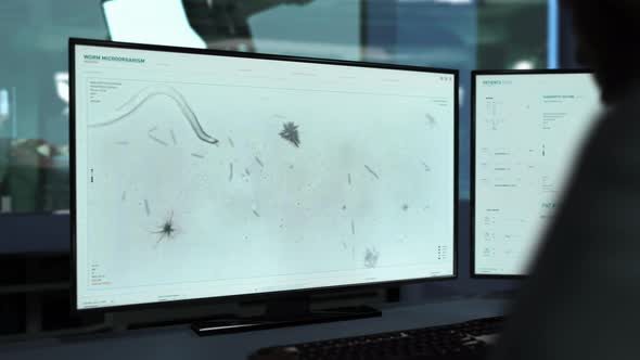 Parasitic Worm Microorganism Motion Research In Microbiological Study Animation alt