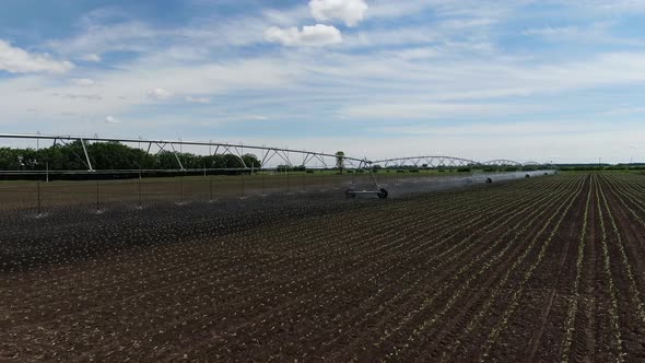 Drone Footage of the Sprinkling Machine in Field Watering Plants Film Grain