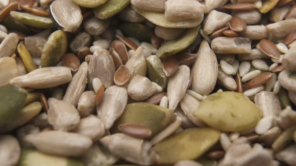 Pile of Peeled Sunflower and Pumpkin Seeds