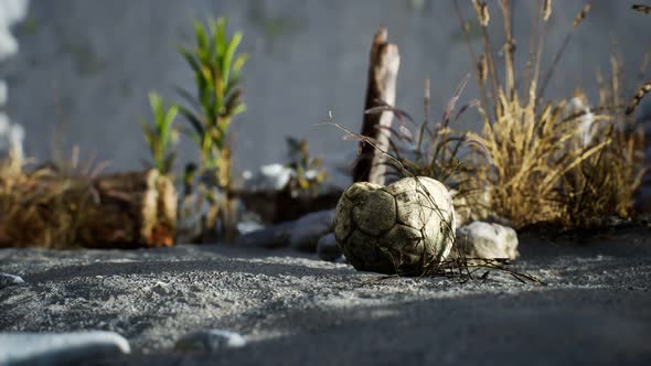 An Old Torn Soccer Ball Thrown Lies on Sand of Sea Beach alt