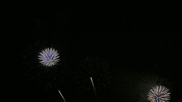 Colorful Firework display at night on sky background