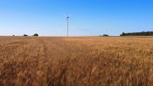 Wheat Field and Wind Energy Turbines in the Background