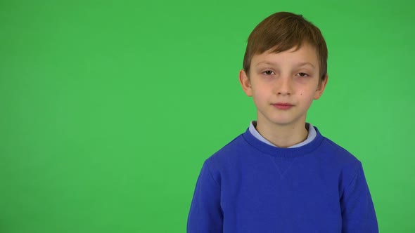 A Young Cute Boy Nods at the Camera with a Smile - Green Screen Studio