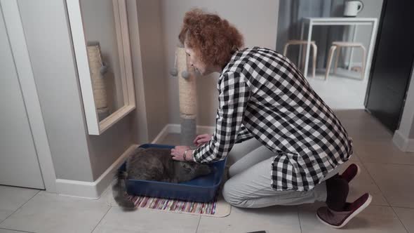 Senior Woman Assembles New Cat Litter Box Together with Pet at Home