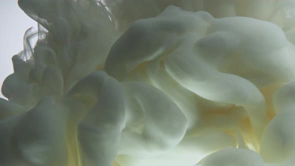 White Nacreous Paint in Water Against White Background. alt