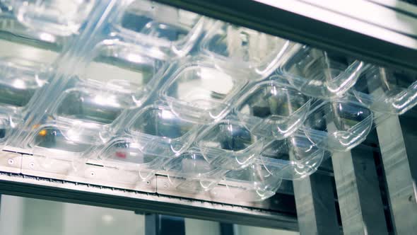 Underside View of Plastic Containers Getting Mechanically Transported