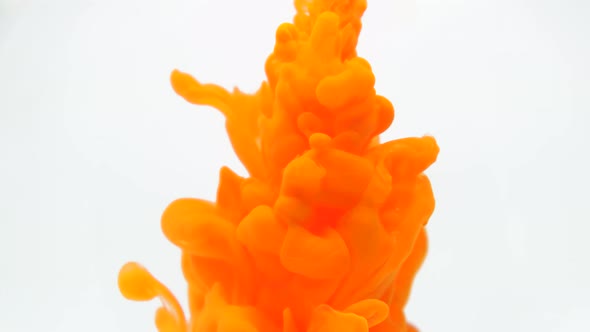 Orange Ink in water.Creative Slow Motion. On a White Background