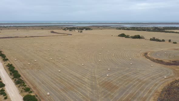 Aerial footage of rolled hay bales in an agricultural field in regional Australia