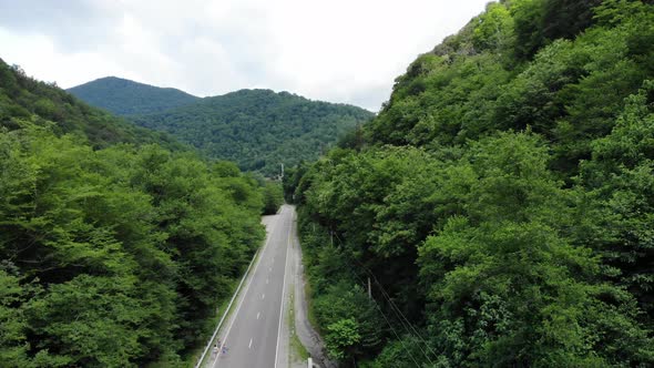 Top Down Aerial View Flying Over Forest Road. Green Trees of Woods Growing Both Sides.