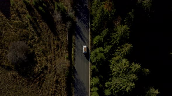 Highway Passes Through a Mature Spruce Forest in the Ukrainian Carpathian Mountains