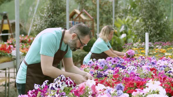 Gardeners or Botanical Experts Wearing Aprons