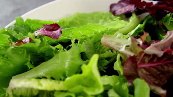 Close-up of lettuce in bowl