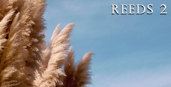 Reeds 2 alt