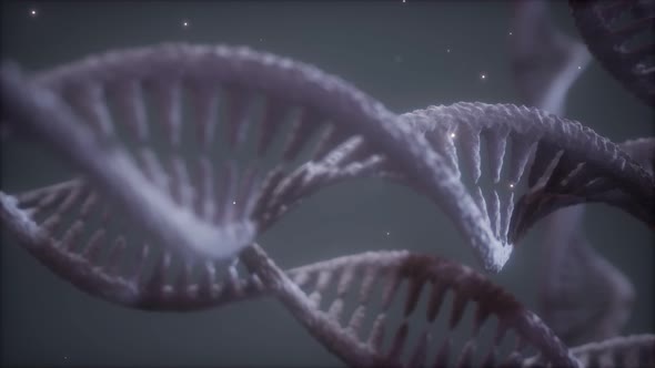 Double Helical Structure of Dna Strand Close-up Animation