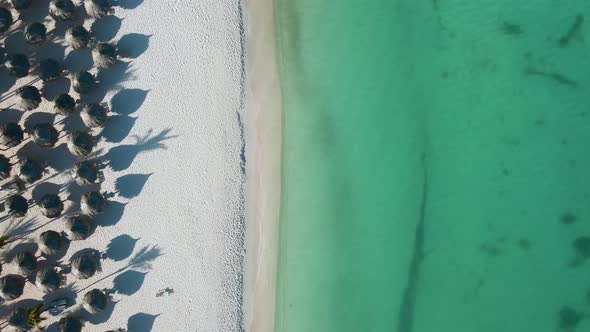 Aerial From Eagle Beach on Aruba in the Caribbean Bird Ey View at the Beach with Umbrella at Aruba