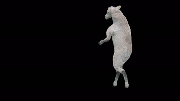 43 White Horse Dancing 4K