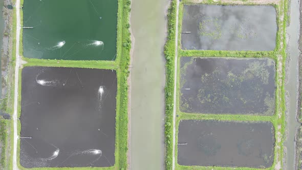 Prawn Fish Farm Aerial