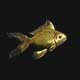 Gold Fish - 3DOcean Item for Sale