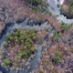Aerial view of the river between the pines. Flying over a winding riverbed surrounded by treetops - VideoHive Item for Sale