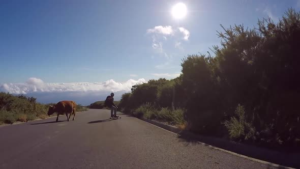 POV of young men longboard skateboarding downhill on a rural country road.