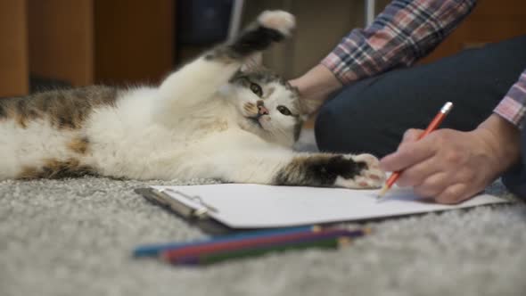 Cozy Home. Woman Spends Time With a Cat