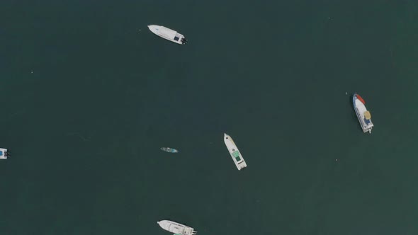 Aerial top view of blue colored fishing boats anchored along the coastline