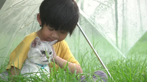 Cute Asian Child With Umbrella Protects A Cat On Rainy Day
