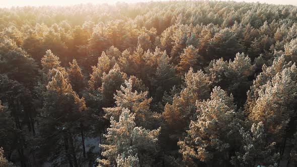 Cinematic Smooth Aerial Drone Shot,winter Forest. Frozen Forest Winter Mountain Landscape, Aerial