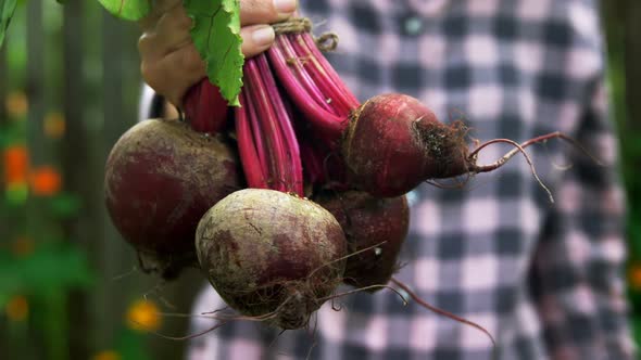 Mature woman holding beetroot vegetable