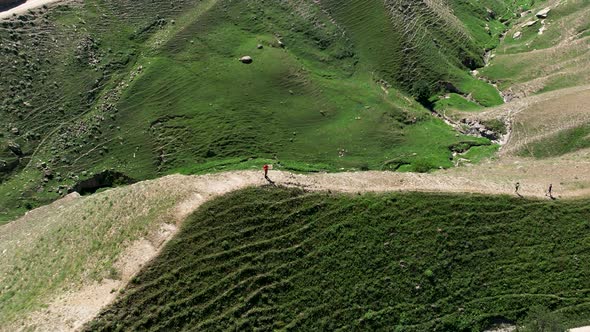 Tourists hiking on summer meadow in green mountain valley