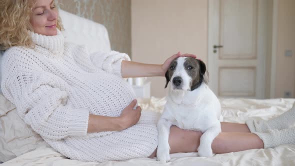 Pregnant Woman In Cozy Knitted Sweater Lying On Bed With Dog