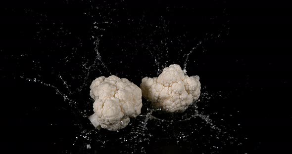 Cauliflower, brassica oleracea, Vegetable falling into Water against Black Background