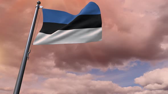 Estonia Flag 4K