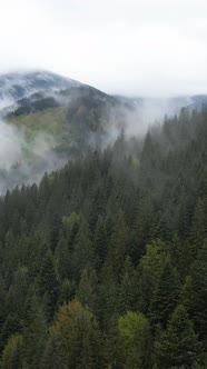 Vertical Video of Fog in the Mountains