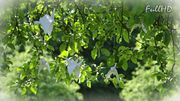 Garden and Origami Crane