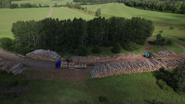 The Deforestation of Siberia Economic and Environmental Problems in Russian Forest Management