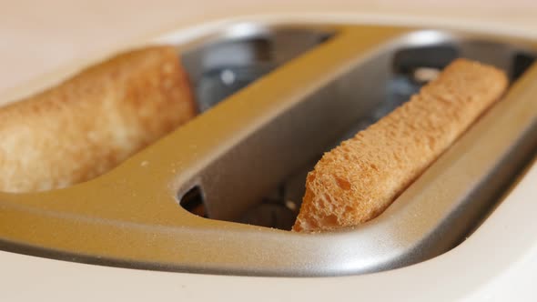 Toasting bread in white electric toaster 4K video