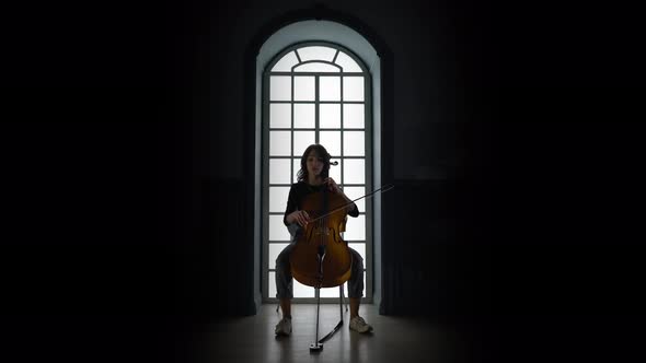 Girl Playing on Cello a Musical Composition in the Evening Against the Window