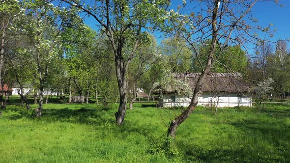 Beautiful Ancient House with Straw Roof in Beautiful Green Garden Aerial View