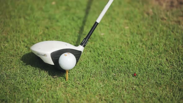 A Golfer Hits a White Golf Ball with a Longdistance Stick Against the Background of Green Grass of